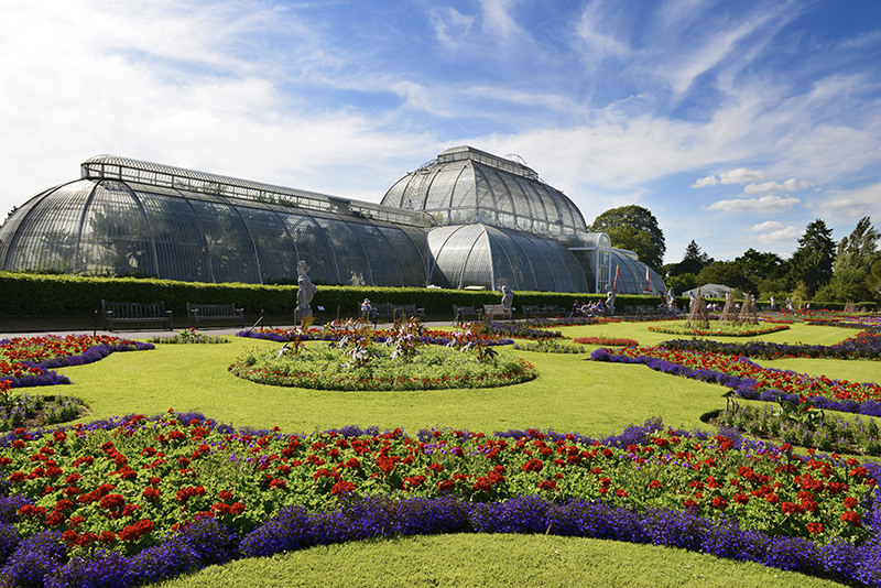 palm house kew gardens peter dazeley
